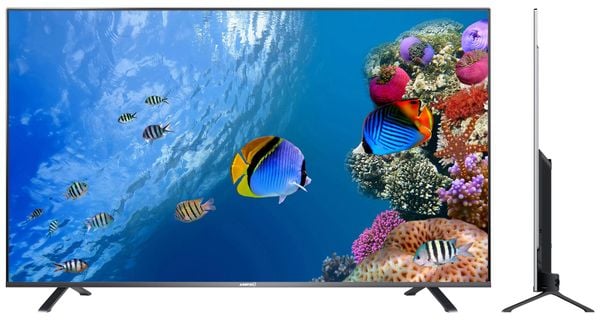 Tận Hưởng Trải Nghiệm Hình Ảnh Sắc Nét Với TV Asanzo 55 Inch